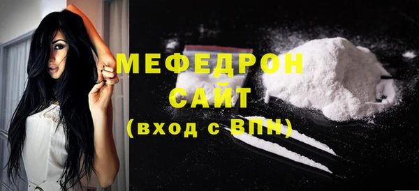 индика Няндома