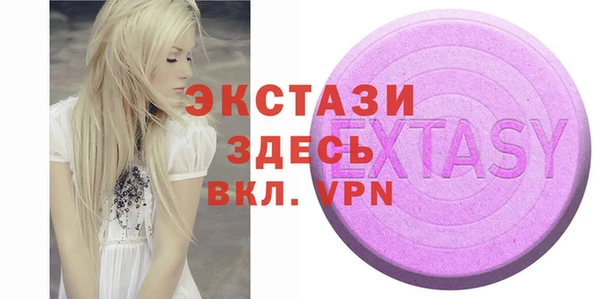 индика Няндома