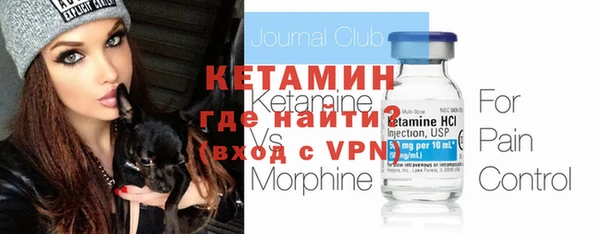 индика Няндома