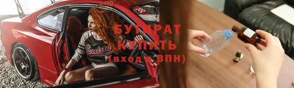 индика Няндома