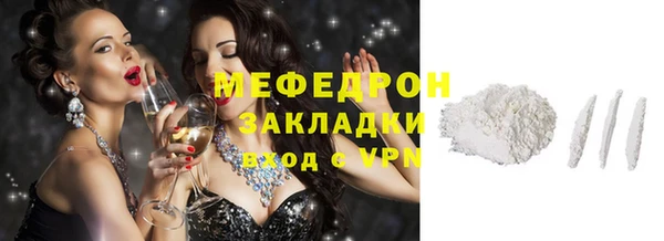 индика Няндома
