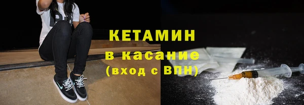 индика Няндома