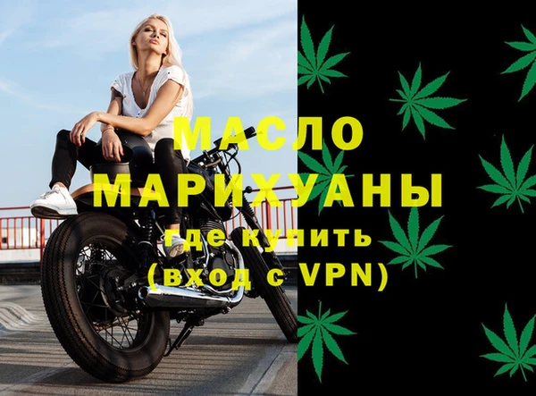 индика Няндома