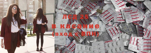 индика Няндома