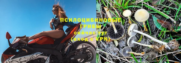 прущие крисы Нягань