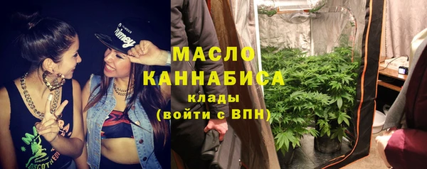 индика Няндома