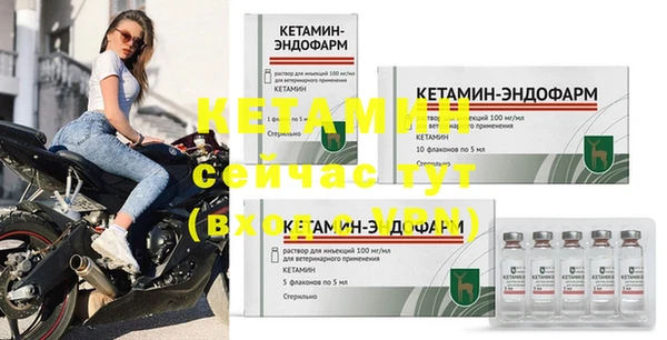 индика Няндома