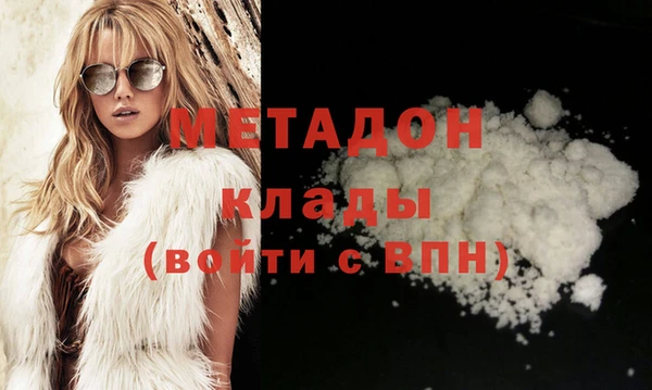 индика Няндома