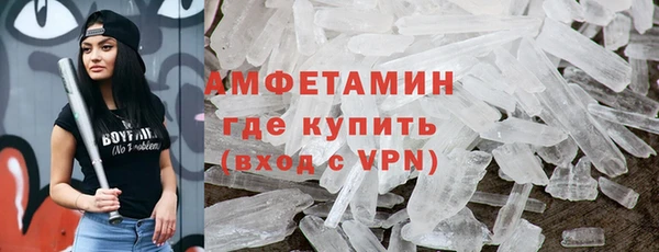 индика Няндома