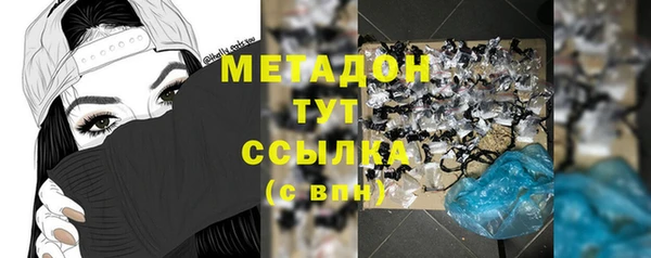 индика Няндома