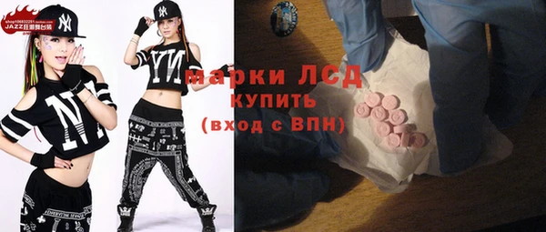 индика Няндома