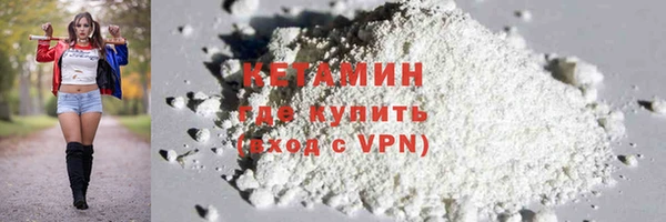 индика Няндома