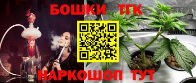 гидра Пыть-Ях