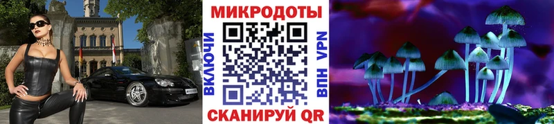 где найти   Радужный  Псилоцибиновые грибы Psilocybe 