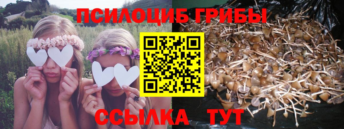 Cocaine  Конопля  Вход с VPN  МЕФ кристаллы  Радужный  Где купить наркотики?  ГАШ  Метамфетамин 